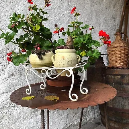 Wohnstudio In Umgebauter Scheune Frühstückspension Altlassing