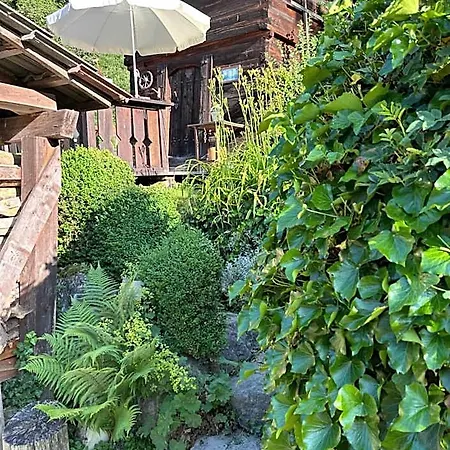 Wohnstudio In Umgebauter Scheune 3*