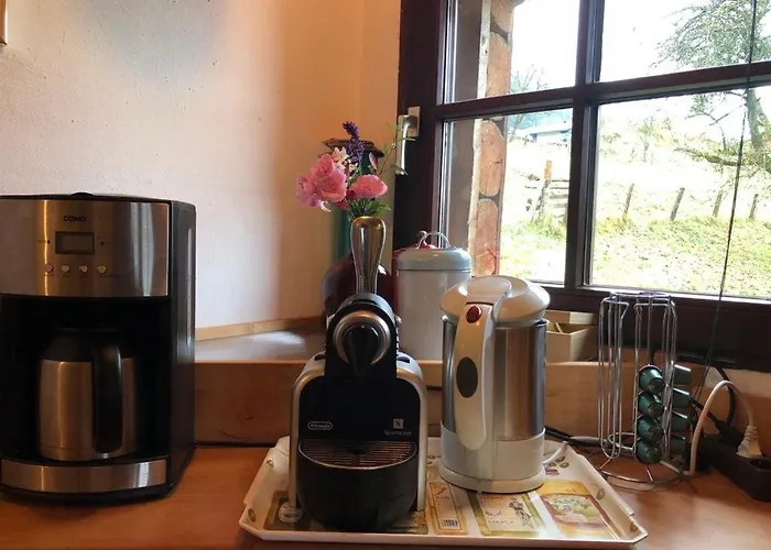 Wohnstudio In Umgebauter Scheune Oda ve Kahvaltı Altlassing